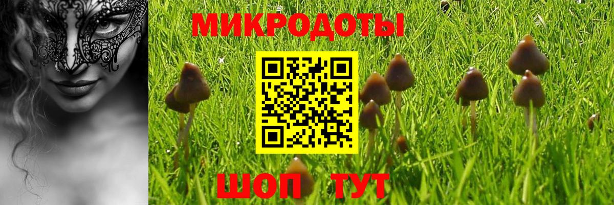 Егорьевск  Галлюциногенные грибы ЛСД  магазин  наркотиков  Вход с VPN 